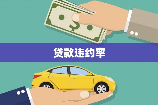 美姑贷款违约率