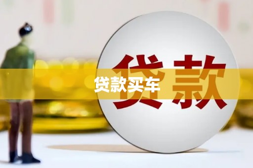 美姑贷款买车