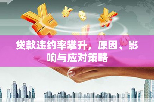 美姑贷款违约率攀升，原因、影响与应对策略