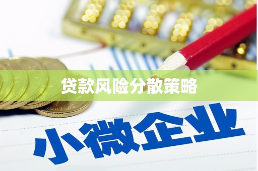 美姑贷款风险分散策略