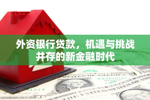 美姑外资银行贷款，机遇与挑战并存的新金融时代
