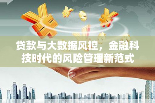 美姑贷款与大数据风控，金融科技时代的风险管理新范式