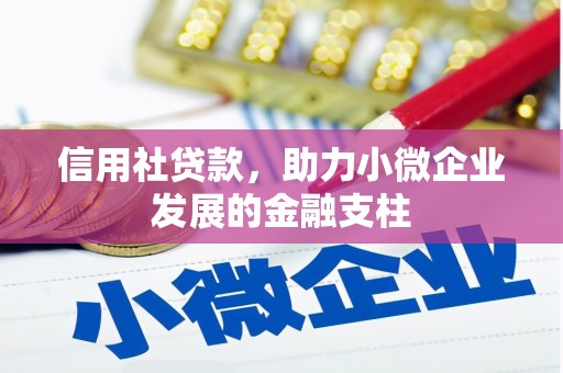 美姑信用社贷款，助力小微企业发展的金融支柱
