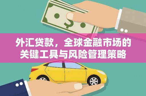美姑外汇贷款，全球金融市场的关键工具与风险管理策略