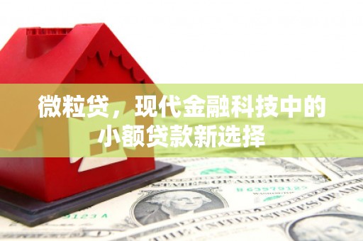 美姑微粒贷，现代金融科技中的小额贷款新选择