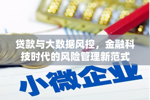 美姑贷款与大数据风控，金融科技时代的风险管理新范式