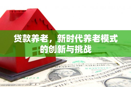 美姑贷款养老，新时代养老模式的创新与挑战