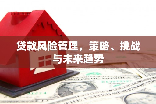 美姑贷款风险管理，策略、挑战与未来趋势