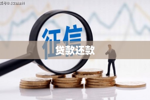 美姑贷款还款