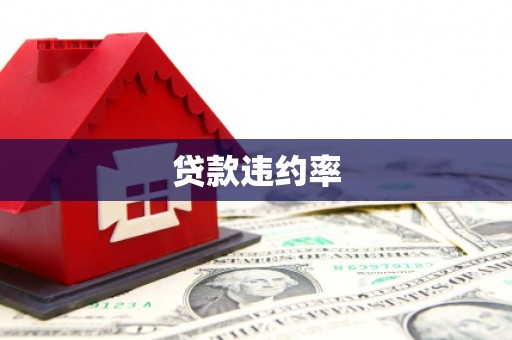 美姑贷款违约率