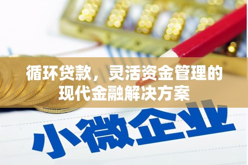 美姑循环贷款，灵活资金管理的现代金融解决方案