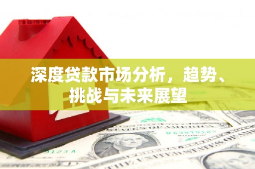 美姑深度贷款市场分析，趋势、挑战与未来展望