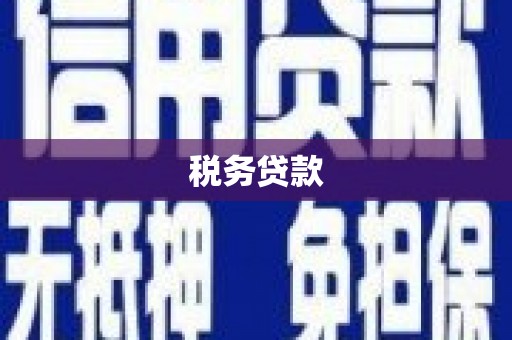 美姑税务贷款