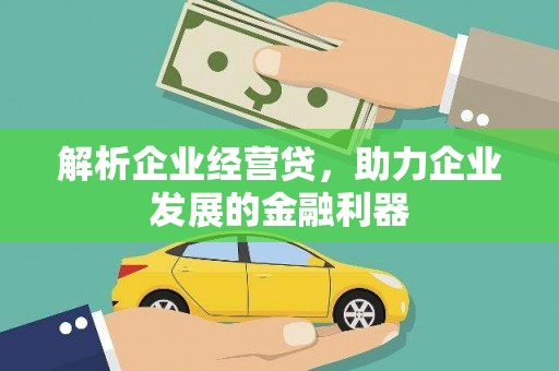 美姑解析企业经营贷，助力企业发展的金融利器