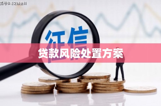 美姑贷款风险处置方案