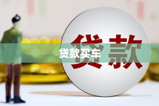 美姑贷款买车