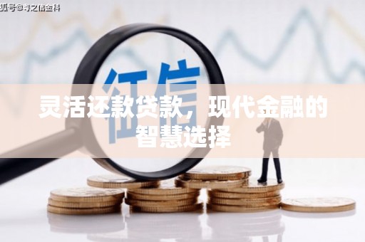 美姑灵活还款贷款，现代金融的智慧选择