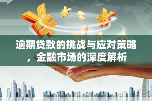 美姑逾期贷款的挑战与应对策略，金融市场的深度解析