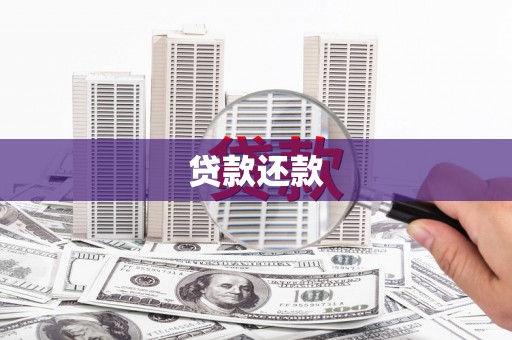 美姑贷款还款
