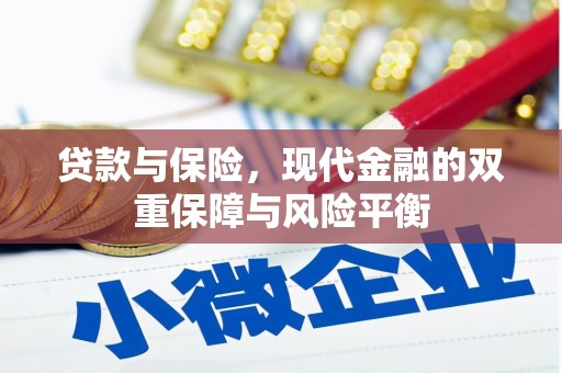 美姑贷款与保险，现代金融的双重保障与风险平衡