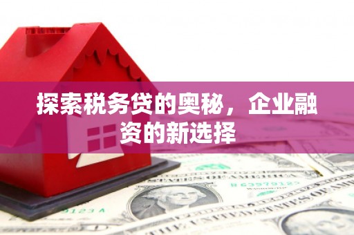 美姑探索税务贷的奥秘，企业融资的新选择