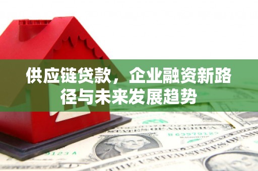 美姑供应链贷款，企业融资新路径与未来发展趋势