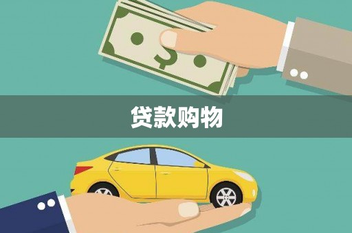 美姑贷款购物