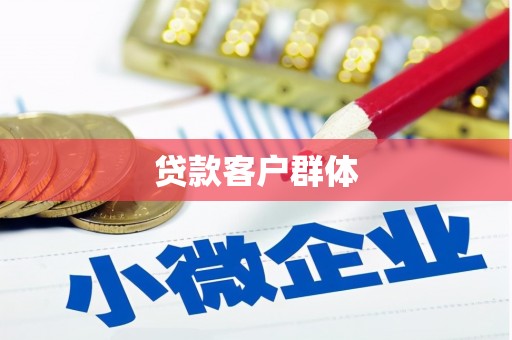 美姑贷款客户群体