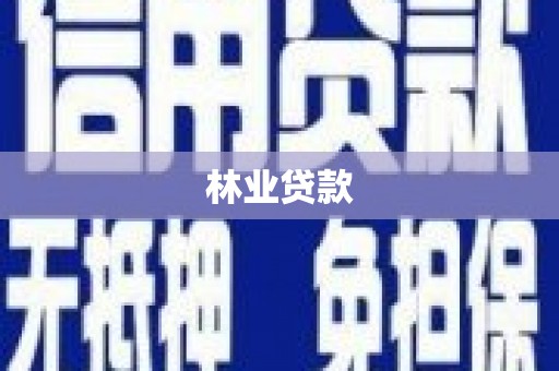美姑林业贷款