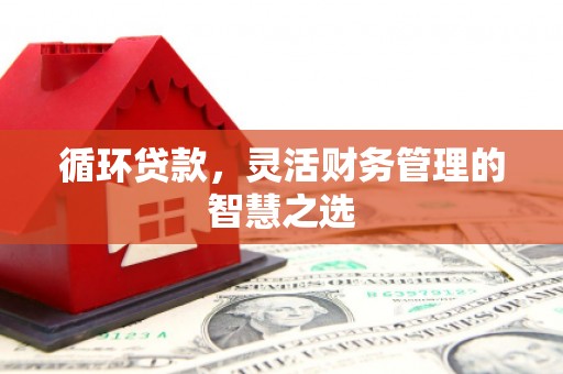 美姑循环贷款，灵活财务管理的智慧之选