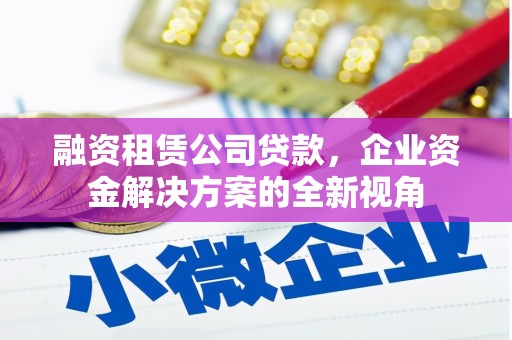 美姑融资租赁公司贷款，企业资金解决方案的全新视角