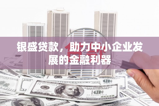 美姑银盛贷款，助力中小企业发展的金融利器
