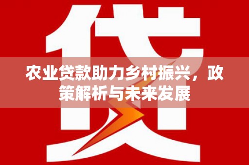 美姑农业贷款助力乡村振兴，政策解析与未来发展