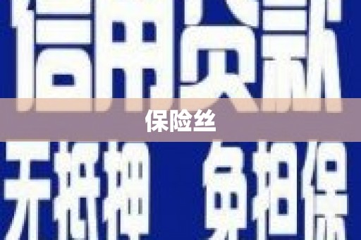 美姑保险丝