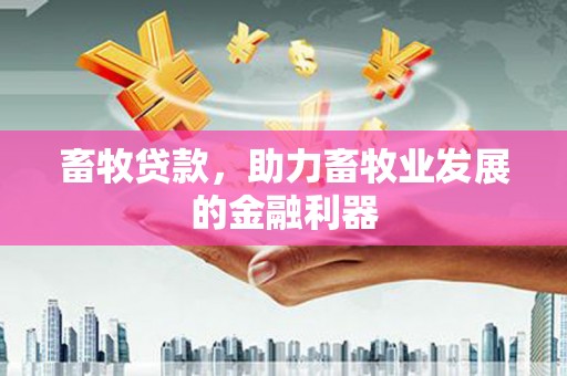美姑畜牧贷款，助力畜牧业发展的金融利器