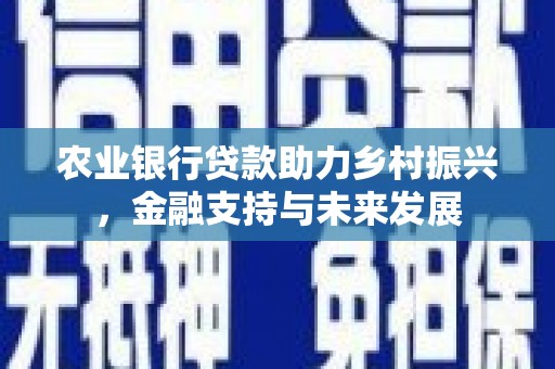 美姑农业银行贷款助力乡村振兴，金融支持与未来发展