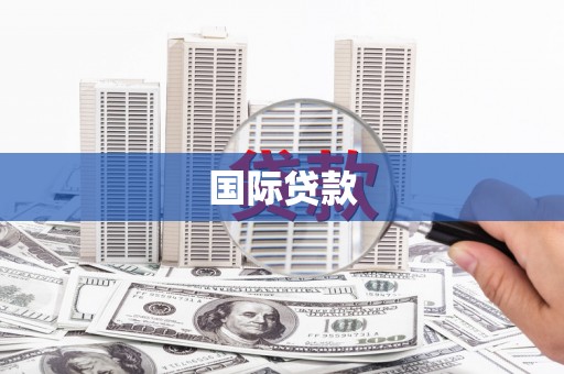 美姑国际贷款