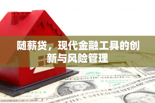 美姑随薪贷，现代金融工具的创新与风险管理