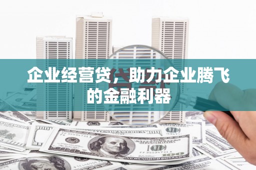 美姑企业经营贷，助力企业腾飞的金融利器