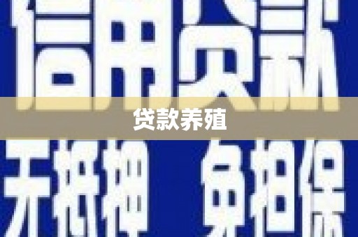 美姑贷款养殖