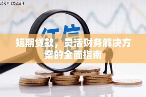 美姑短期贷款，灵活财务解决方案的全面指南