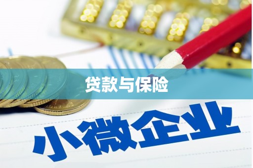 美姑贷款与保险