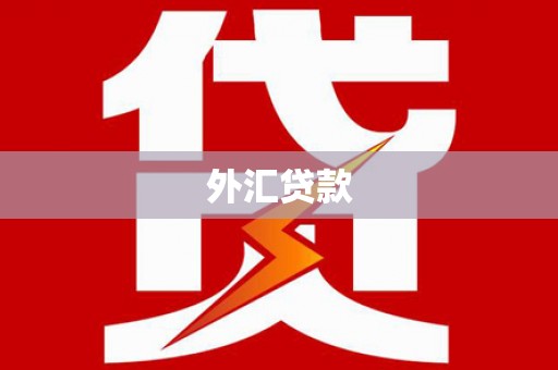 美姑外汇贷款