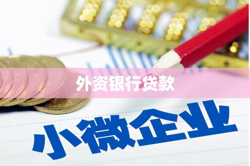 美姑外资银行贷款