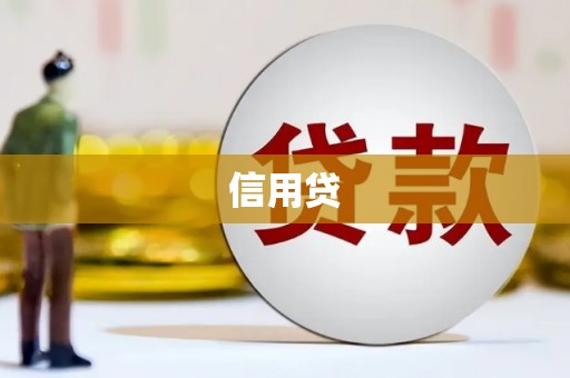 美姑信用贷