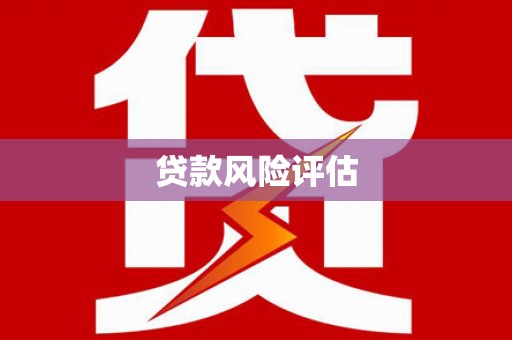 美姑贷款风险评估