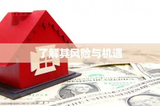 美姑了解其风险与机遇