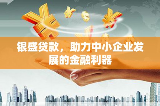 美姑银盛贷款，助力中小企业发展的金融利器