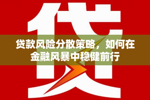 美姑贷款风险分散策略，如何在金融风暴中稳健前行