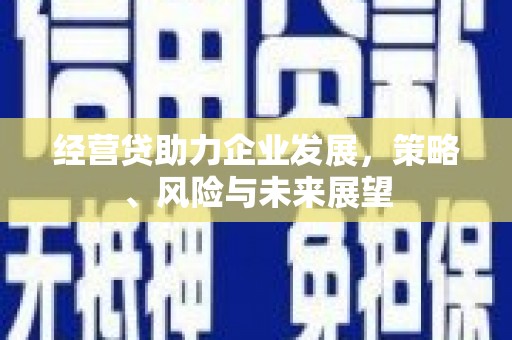 美姑经营贷助力企业发展，策略、风险与未来展望
